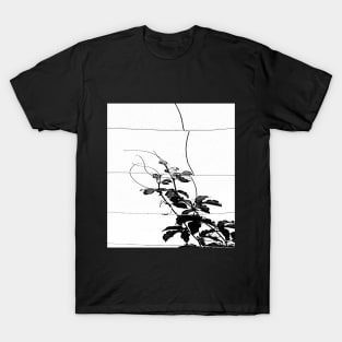 Black and white watercolor Passionflower Vine Climbing on Wire 3 T-Shirt